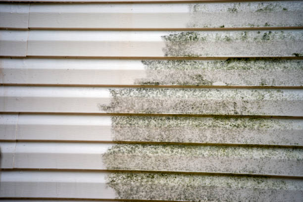 Best Custom Trim and Detailing for Siding  in Planada, CA